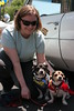 bccrotary > Doggie Portraits photo