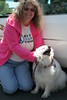bccrotary > Doggie Portraits photo