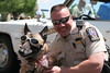 bccrotary > Doggie Portraits photo