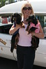 bccrotary > Doggie Portraits photo